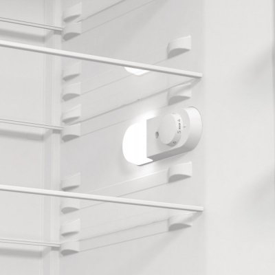 Gorenje Chłodziarka R619EES5