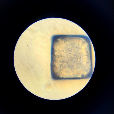 Lisciani Mikroskop Im A Genius