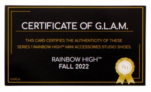 MGA Akcesoria  Rainbow High Buty display 27 sztuk