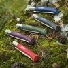 Nóż Opinel Colorama 08 inox grab bordowy z rzemieniem