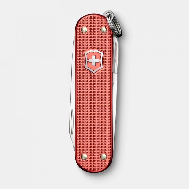 Scyzoryk Victorinox Classic SD Alox Limited Edition 2025 0.6221.l25