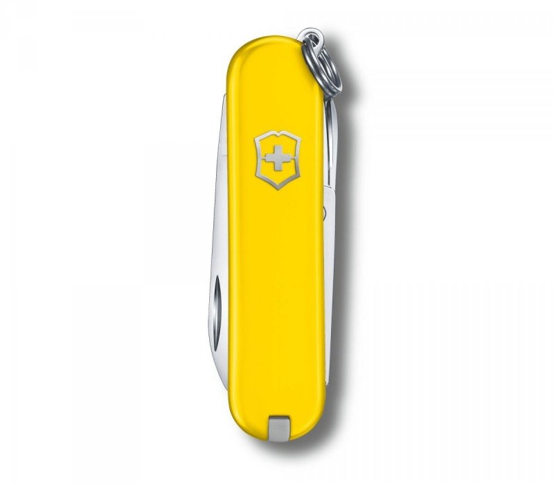 Scyzoryk Victorinox Classic SD 0.6223.8G