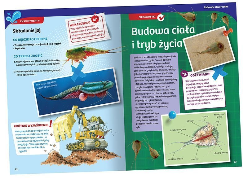 Hodowla Triopsów - Zestaw Edukacyjny dla Dzieci i Dorosłych