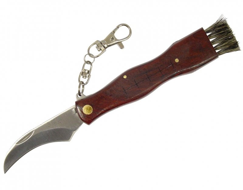 Nóż  Joker do zbierania grzybów (JKR32)