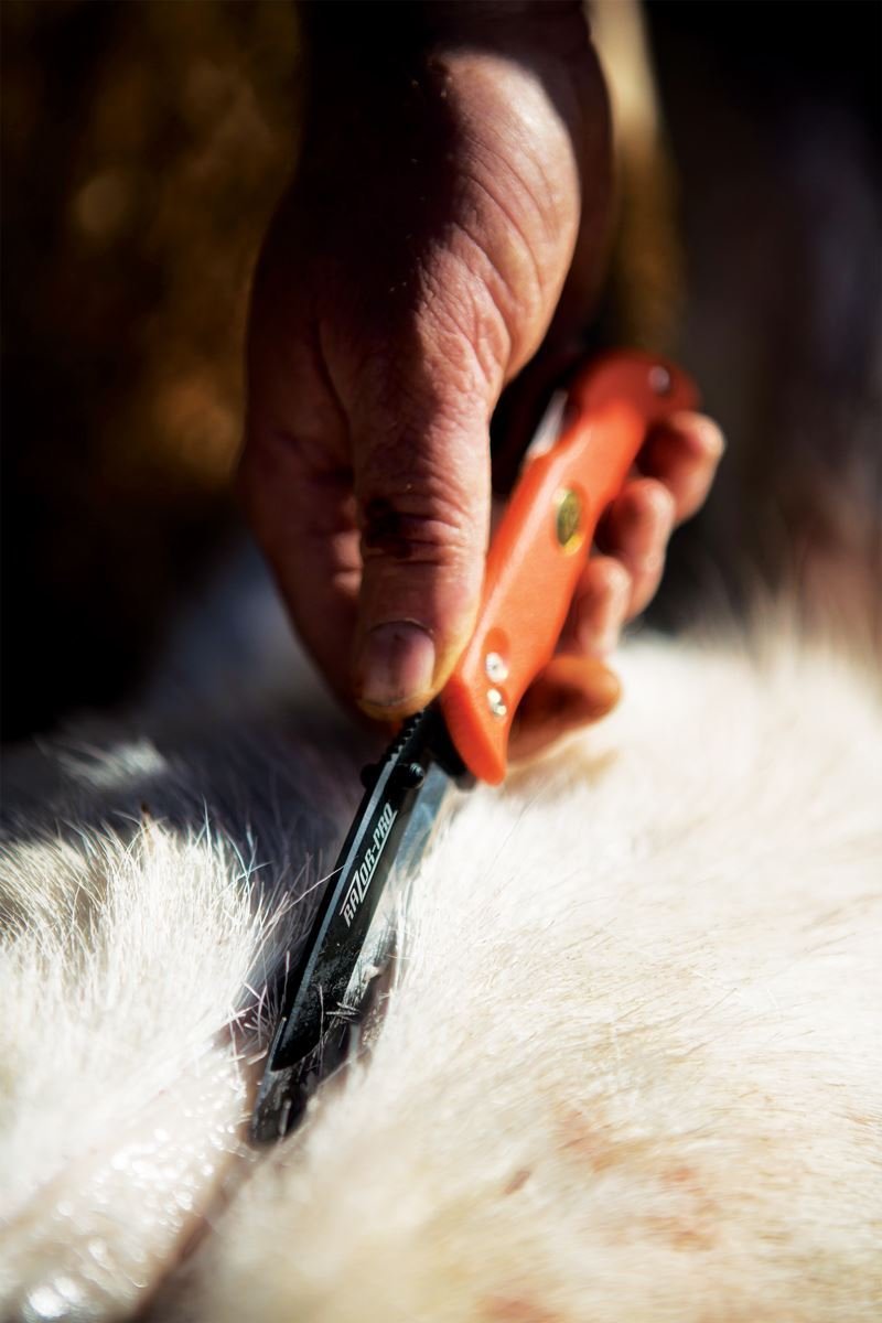 Nóż Outdoor Edge Razor Lite Orange