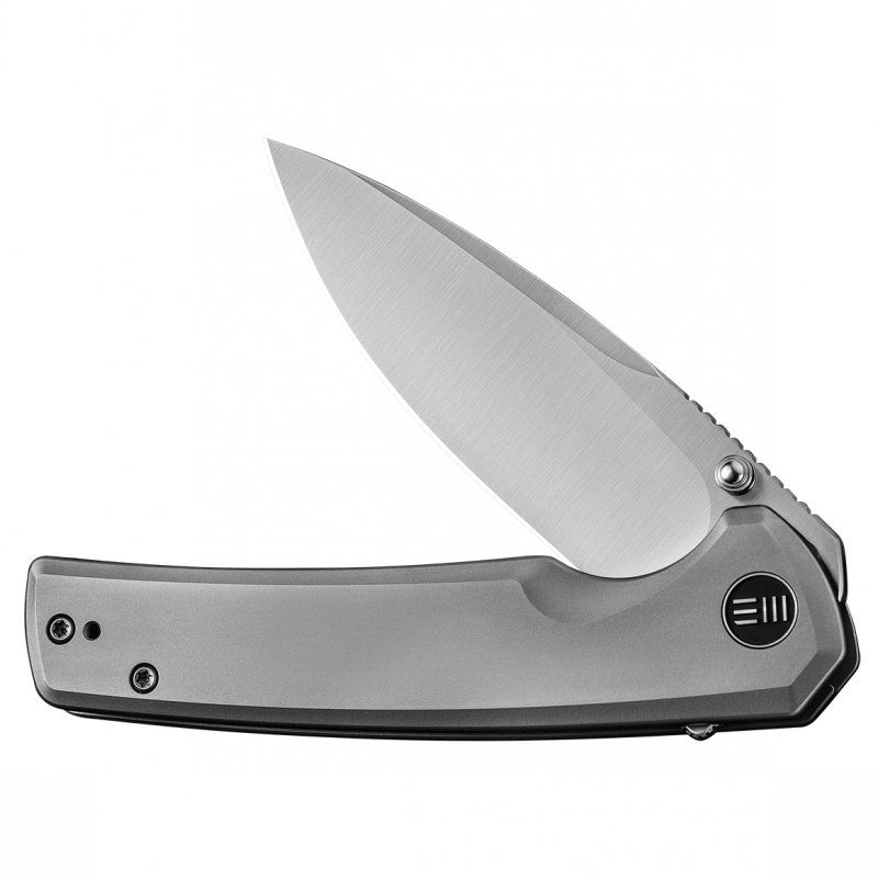 Nóż składany WE Knife Subjugator WE21014C-1 gray