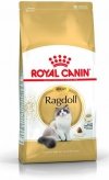 Royal Ragdoll Adult 10kg