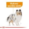 Royal CCN Mini Coat Care 3kg