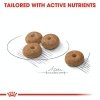 Royal 272260 CCN Mini Sterilised 3kg