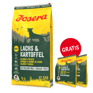 JOSERA Lachs & Kartoffel 12,5kg PLUS GRATIS 2 x 900g 