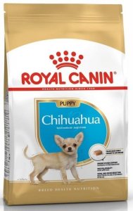 Royal Chihuahua Puppy 500g