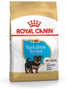 Royal Yorkshire Puppy 7,5kg