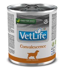 Vet Life Dog Natural Diet 300g Convalescence