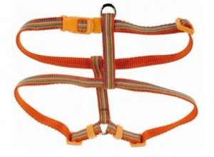 ZOLUX Szelki COLOR LINE 10mm pomarańczowe