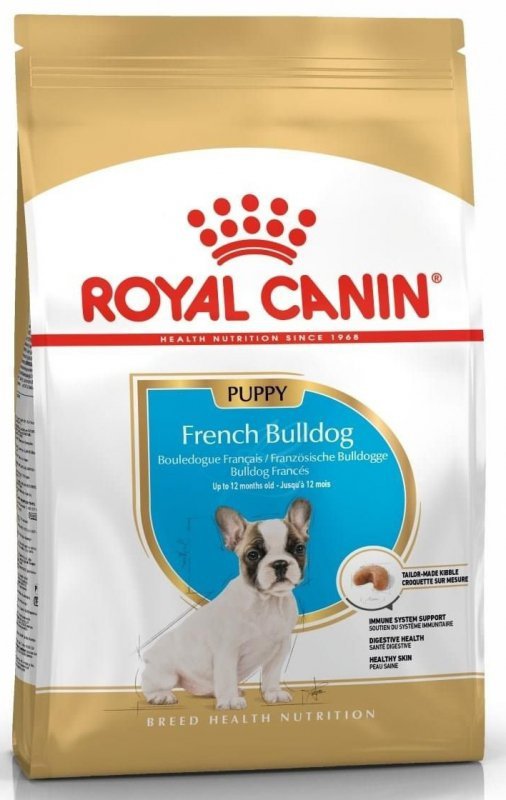 Royal French Bulldog Puppy 10kg