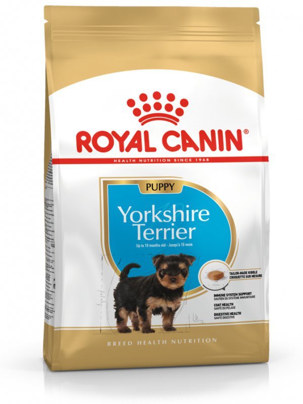 Royal Yorkshire Puppy 7,5kg