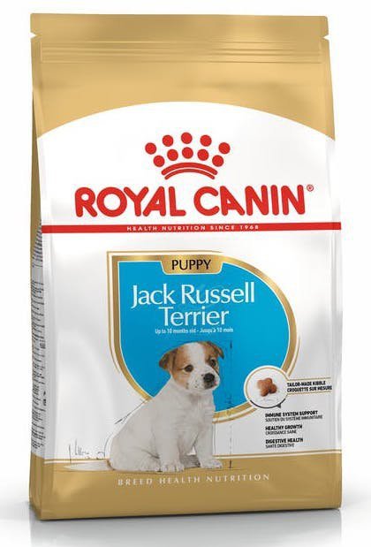 Royal Jack Russel Puppy / Junior 1,5kg