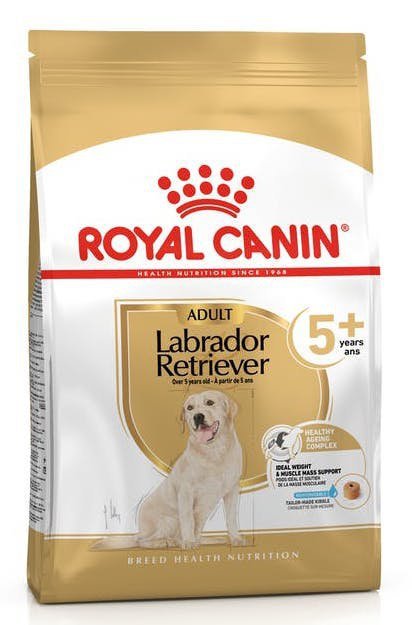 Royal Labrador Retriever +5 3kg
