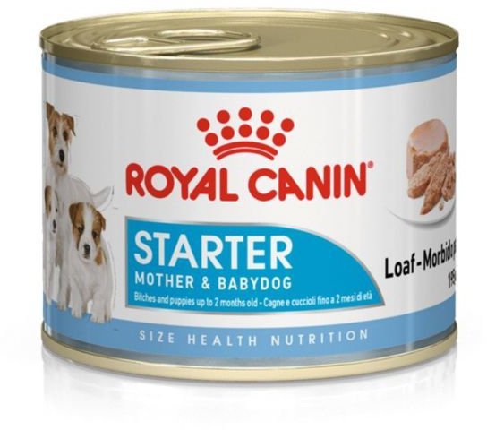 Royal 269110 Starter Mousse 195gr puszka