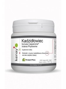 KENAY Kadzidłowiec Casperome Indena Phytosome (300 kaps.)