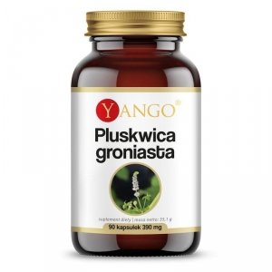 YANGO Pluskwica Groniasta (90 kaps.)