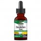 NATURE'S ANSWER Dandelion Root - Ekstrakt z korzenia mniszka lekarskiego (30 ml) 