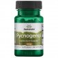 SWANSON Pycnogenol 50 mg (50 kaps.) 