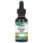 NATURE'S ANSWER Ginger Root - Korzeń imbiru (30 ml) 