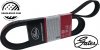 Pasek wielorowkowy micro Jeep Compass 2,4 L4 2017-