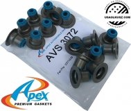 Uszczelniacze zaworowe Buick Allure 5,3 V8