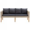 2-osobowa sofa ogrodowa z poduszkami, rattan PE, beż