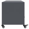 Szafka RTV, antracytowa, 100,5x39x43,5 cm, stal