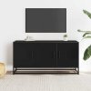 Szafka pod TV, czarna, 100x35x50 cm