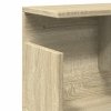 Półka ścienna, 100x20x30 cm,dąb sonoma, materiał drewnopochodny
