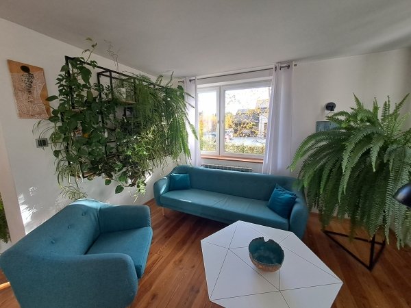 salon-kwiaty-sofa-fotel-stolik-doniczka