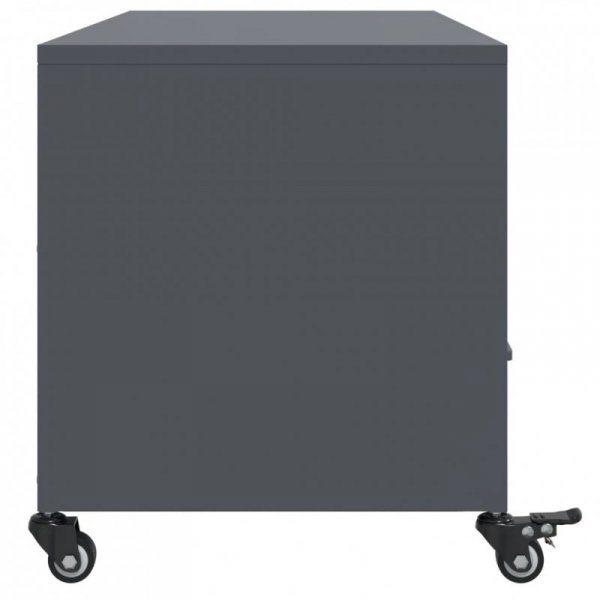 Szafka RTV, antracytowa, 100,5x39x43,5 cm, stal