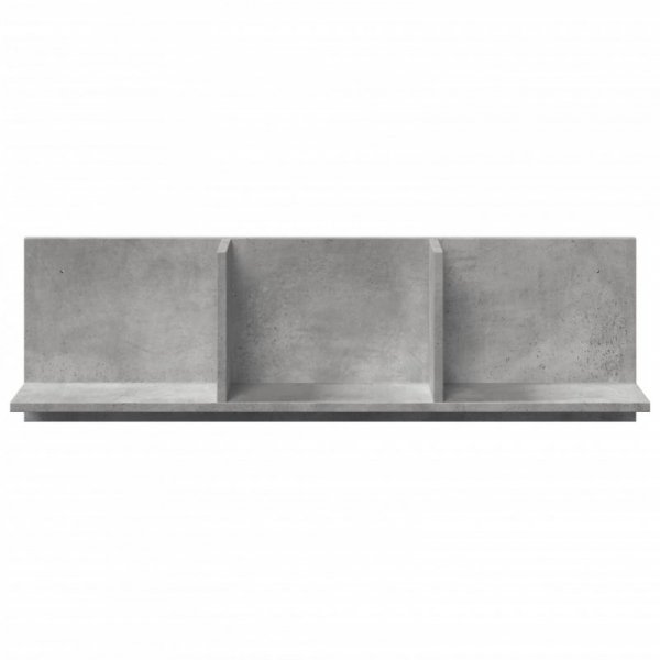 Półka ścienna, 100x16,5x30 cm, szary beton