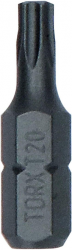 BIT, GROT, KOŃCÓWKA T20 25MM EXH 25PCS (1 OP)