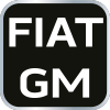 Zestaw blokad rozrządu do silników benzynowych Fiat/GM