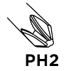 Końcówki wkrętakowe PH2 x 25 mm, 100 szt.