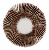 Ściernica listkowa trzpieniowa 60 x 15 x 6 mm, P120