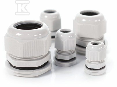 PG-48 IP68 DŁAWNICA (34-44MM) OPAK=1SZT (OPK)