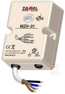 WZH-01 WYŁ.ZMIERZ.N/T SONDA 230V AC IP6 (SZT)
