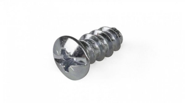 EUROWKRĘT WALCOWY OCYNKOWANY 6.3*13MM (1 KG)