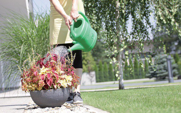 KONEWKA PLASTIKOWA 3L SPRING - ZIELONY (1 SZT)