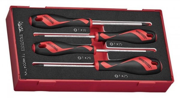 ZESTAW WKRĘTAKÓW TORX TEAMD04TXN, 4SZT. (1 KPL)