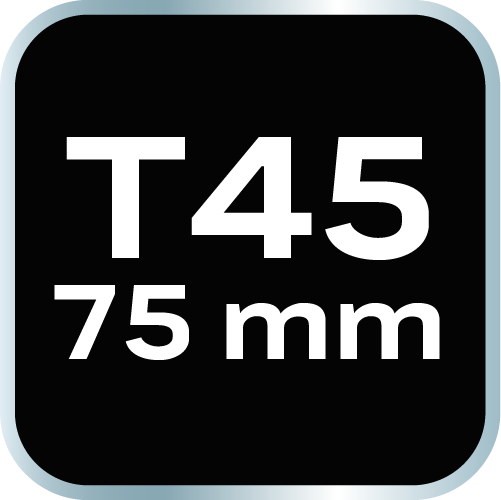 Końcówka TORX T45 x 75 mm, S2 x 2 szt.