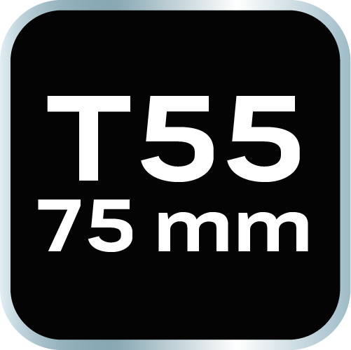 Końcówka TORX T55 x 75 mm, S2 x 2 szt.