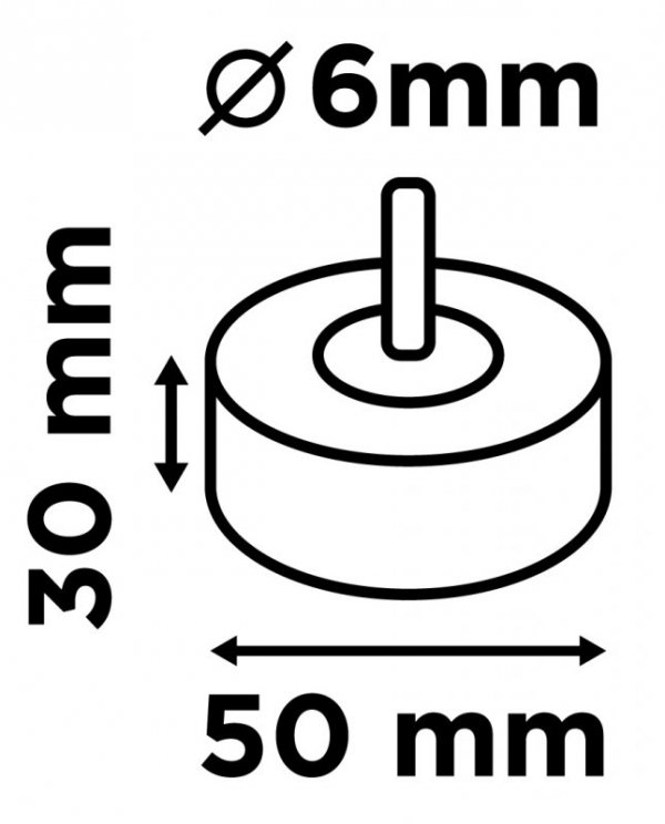 Ściernica listkowa trzpieniowa 50 x 30 x 6 mm, P120