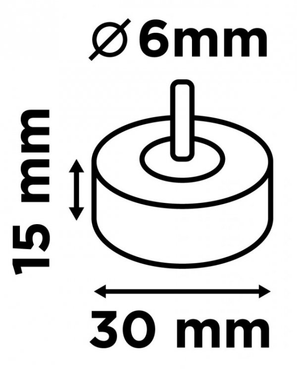 Ściernica listkowa trzpieniowa 30 x 15 x 6 mm, P80